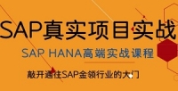 SAP HANAѵγ̼