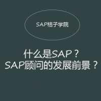 SAPʲôSAPʵǰʹΣ