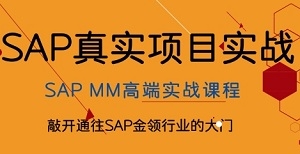 SAP培训课程 | MM模块简介