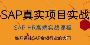 SAP HRѵγ̼