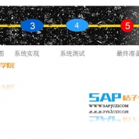 SAPʵĹݾЩ