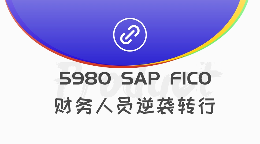 3980 SAP FICO 财务人员逆袭之路