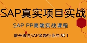 SAP PP培训课程简介