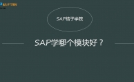 【视频】SAP初学者学哪个模块好？