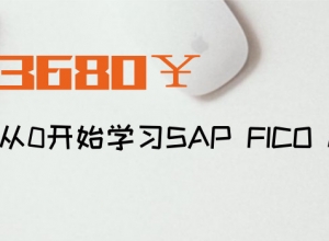 sapѧԺƳ3980FICOSDMMģγ