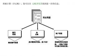 SAP FICOģĲ̳̺ѧϰ-APģ
