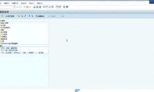 SAP FICO视频培训 2 ：netweaver配置