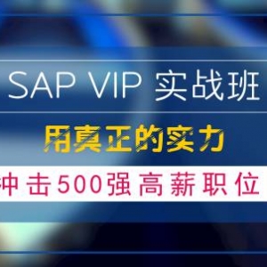 SAP VIPʵս࣬ʵ500ǿнְλ