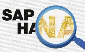 sap hanaʲô