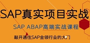 SAP ABAPѵγ̼