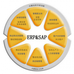 ҵѧϰĵܽᣬSAP ERPϵͳ