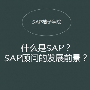 【视频】SAP是什么？SAP顾问的前景和待遇如何？