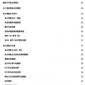 SAP FICOģĲ̳̺ѧϰ-FIģ