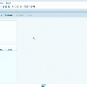 SAP FICOƵѵ 2 netweaver