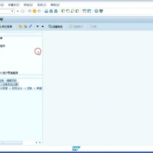 SAP FICOѵƵ 3 һ˼ƾ֤Ĳѯ
